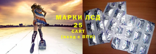 стаф Аркадак
