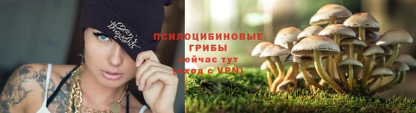 бошки Армянск