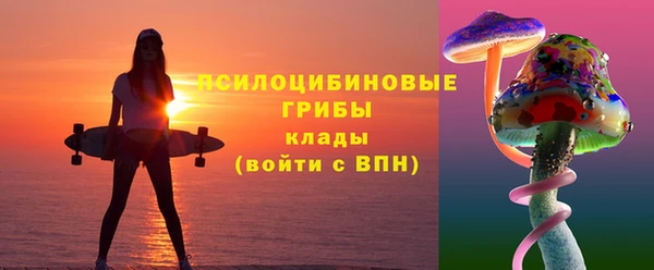 mdpv Арсеньев