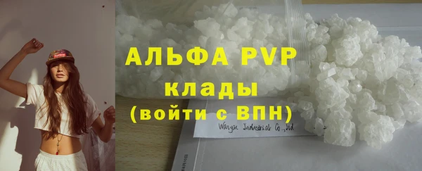 стаф Аркадак
