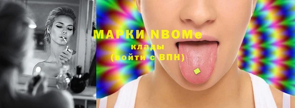 стаф Аркадак