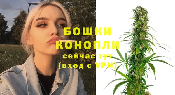 стаф Аркадак