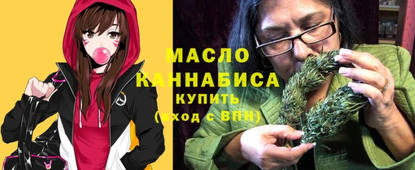 стаф Аркадак