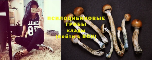 mdpv Арсеньев