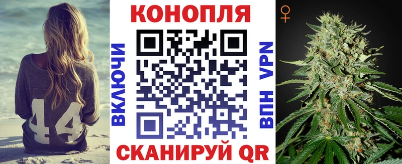 Бошки марихуана марихуана  Кологрив 